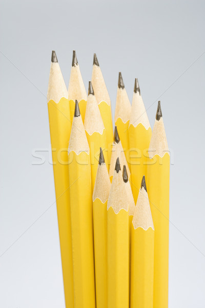 Group of sharp pencils. Stock photo © iofoto