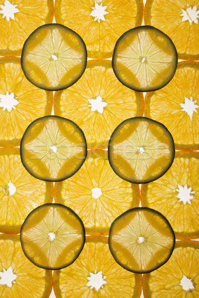Citrus szelet terv narancs citrus szeletek Stock fotó © iofoto