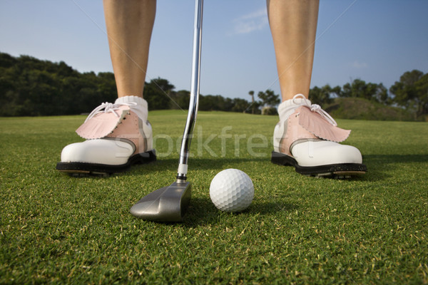 Weiblichen Golfer Frau Erzeugnis horizontal Stock foto © iofoto