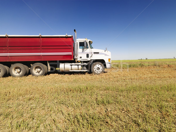 Semi truck in field. Stock photo © iofoto