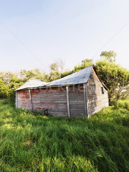 Schuur verlaten houten weelderig veld gras Stockfoto © iofoto