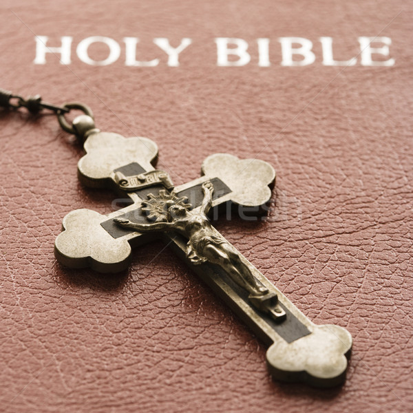 Crucifix bible couvrir fermé croix [[stock_photo]] © iofoto