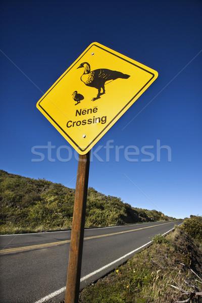 'Nene Crossing' road sign in Maui, Hawaii. Stock photo © iofoto