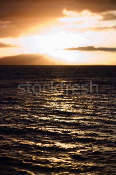 Sunset in Maui. Stock photo © iofoto