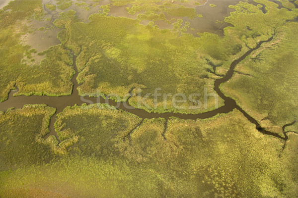 Stock photo: Aerial view of tributary.