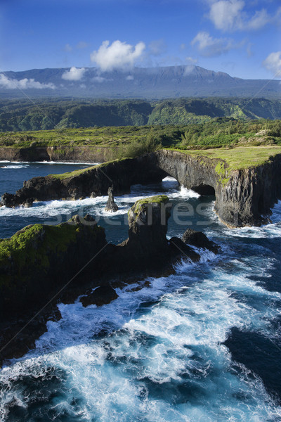 Maui coast. Stock photo © iofoto
