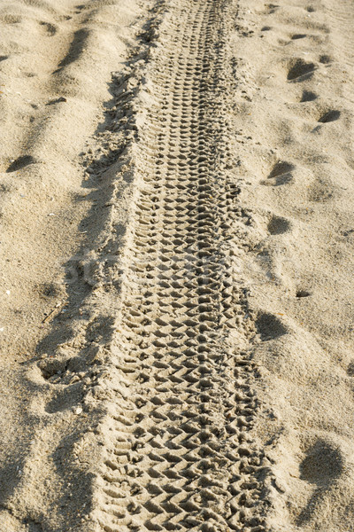 Stock photo: Tire track in sand.