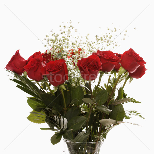 Bouquet of red roses. Stock photo © iofoto