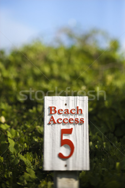 Playa acceso signo calvo cabeza isla Foto stock © iofoto