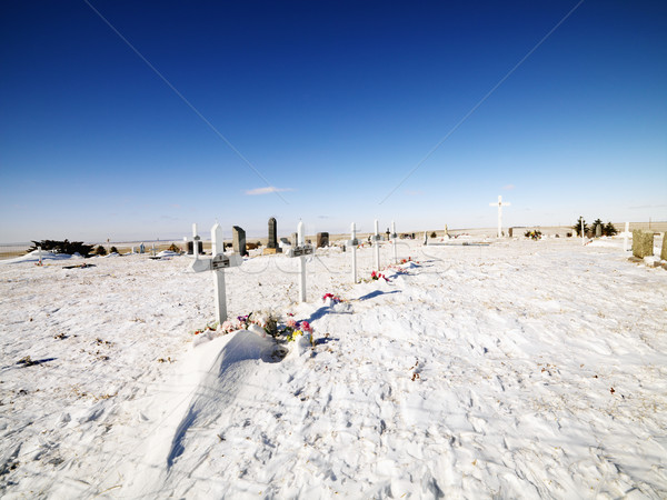 Sneeuw gedekt kerkhof blauwe hemel kruis dood Stockfoto © iofoto