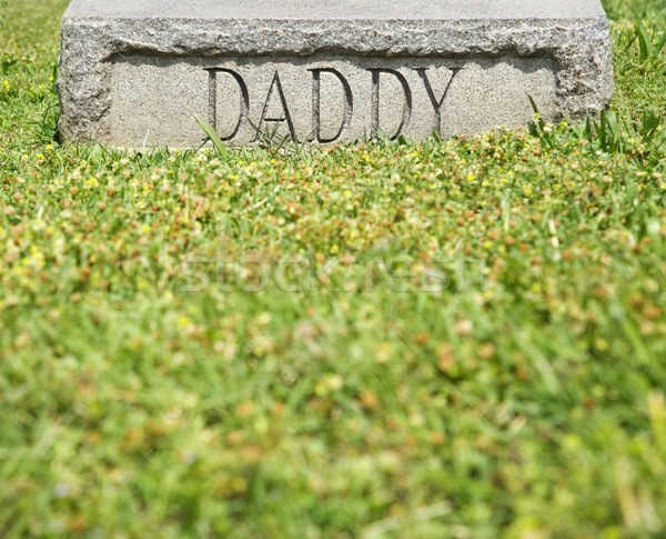 Lápide papai marcador palavra fundo verde Foto stock © iofoto