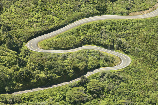 Winding country road. Stock photo © iofoto