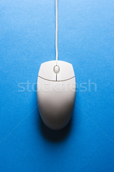 Mouse de computador cor vertical acessar Foto stock © iofoto