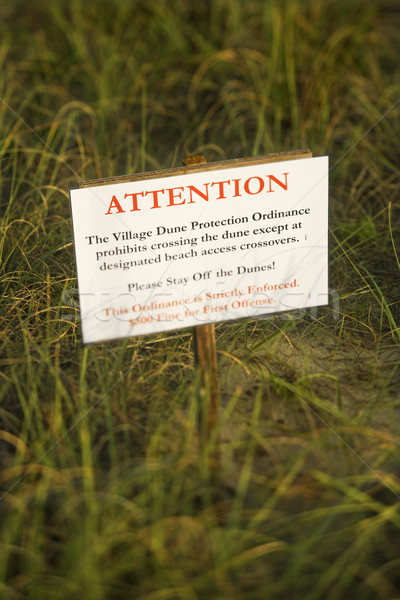 Beach stay off dunes warning sign. Stock photo © iofoto