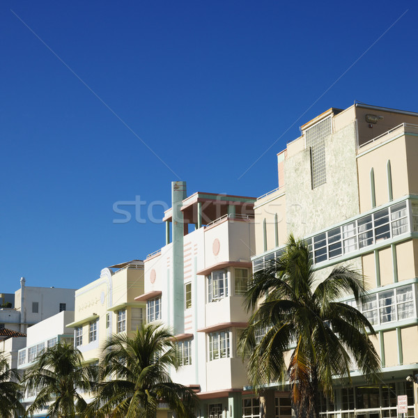 Art deco kerület Miami pálmafák épületek Florida Stock fotó © iofoto