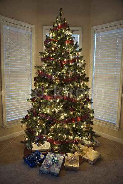 Christmas tree. Stock photo © iofoto