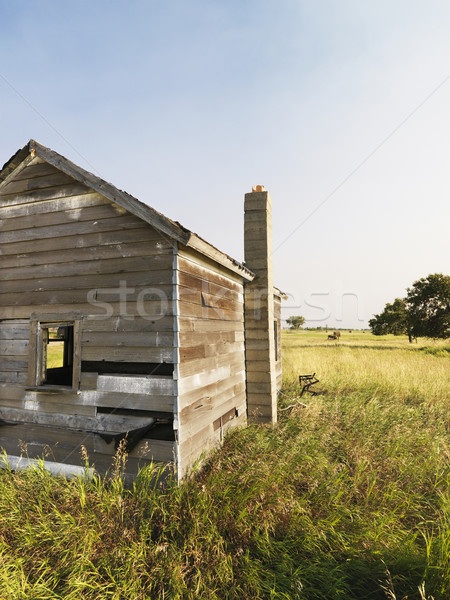 Old house in field. Stock photo © iofoto