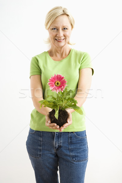 Frau halten Gänseblümchen Porträt lächelnd Erwachsenen Stock foto © iofoto