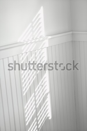 Sun through window blinds on wall. Stock photo © iofoto