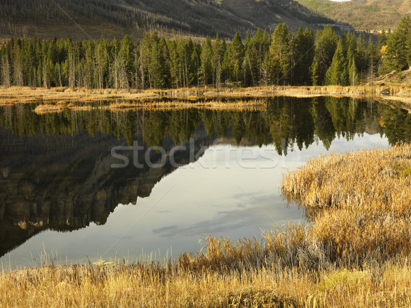 Wyoming montanha paisagem montanhas lago dourado Foto stock © iofoto