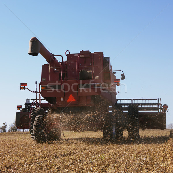 Aratás hátulnézet mező szín növények mezőgazdaság Stock fotó © iofoto