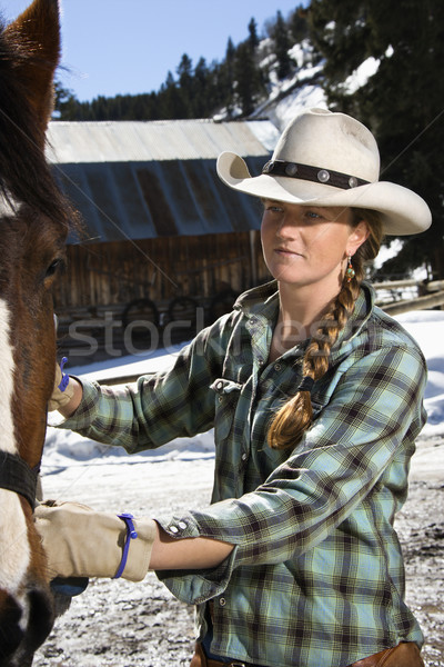 Attractive Young Woman Petting Horse Stock photo © iofoto