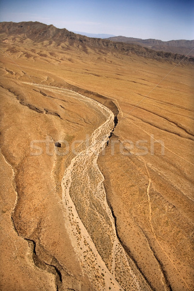 Desert landscape. Stock photo © iofoto