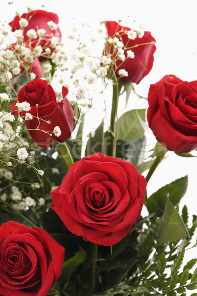 Stock photo: Bouquet of red roses.
