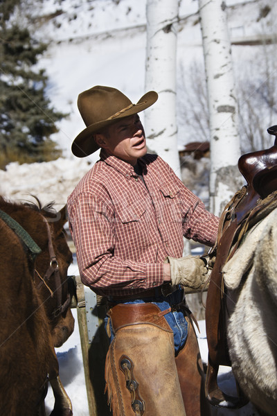 Cavalli maschio sella cavallo cowboy Foto d'archivio © iofoto