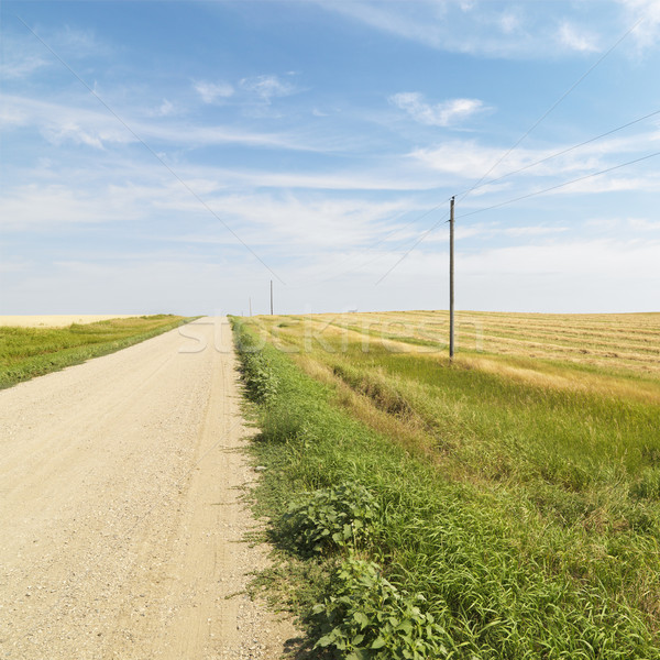 Dirt road and farmland. Stock photo © iofoto
