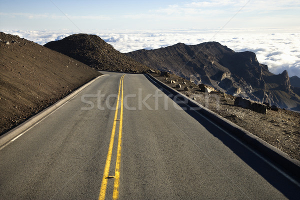 Road in Haleakala, Maui. Stock photo © iofoto