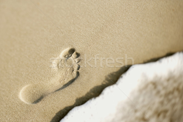 ślad piasku fali tle ocean kolor Zdjęcia stock © iofoto