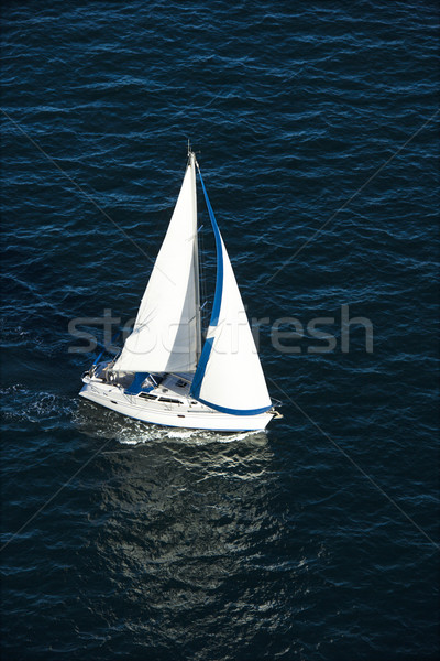 Zeilboot zeilen luchtfoto zee Sydney Australië Stockfoto © iofoto