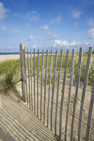 Patiné bois clôture dune de sable plage couleur [[stock_photo]] © iofoto