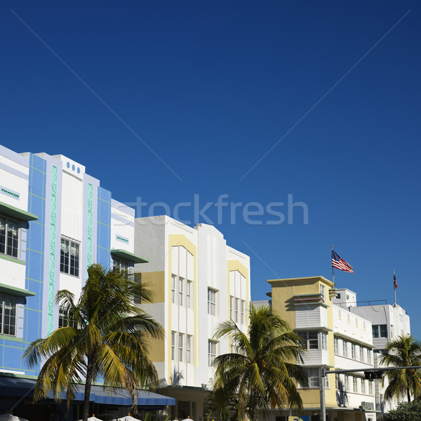 Art deco wijk Miami palmbomen gebouwen Florida Stockfoto © iofoto
