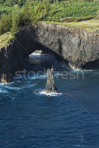 Rocky Maui coast. Stock photo © iofoto