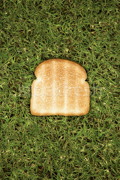 Slice of toast on grass Stock photo © iofoto