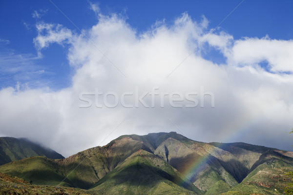 Maui mountains with rainbow. Stock photo © iofoto
