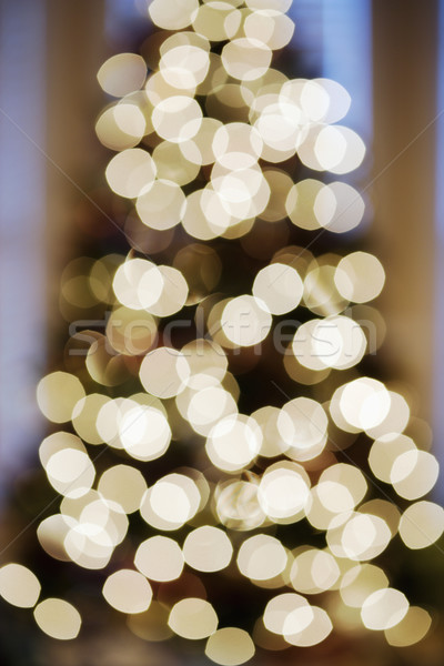 Blurred Christmas lights. Stock photo © iofoto