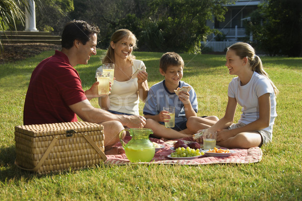 Famille pique-nique quatre parc femme [[stock_photo]] © iofoto