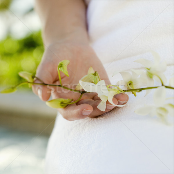 Hand holding orchids. Stock photo © iofoto