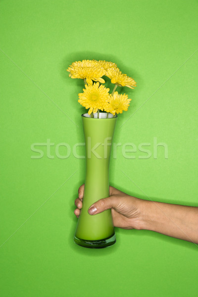 Hand halten Vase Blumen weiblichen Stock foto © iofoto