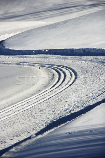 Vehicle tracks in snow. Stock photo © iofoto
