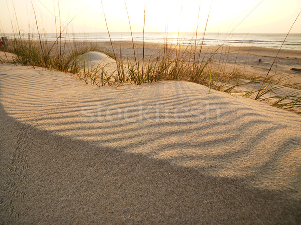 Homokos tengerpart óceán nyár homok szín part Stock fotó © iofoto