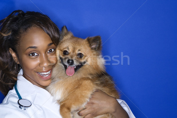 Foto stock: Mujer · veterinario · perro · marrón