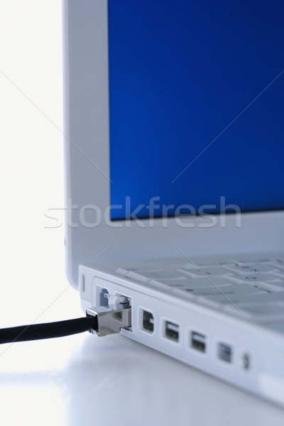 Data wire plugged into laptop. Stock photo © iofoto