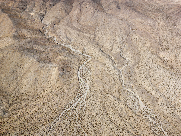 California desert. Stock photo © iofoto