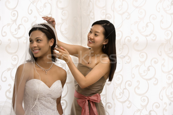 新娘 伴娘 肖像 亞洲的 面紗 婦女 商業照片 © iofoto