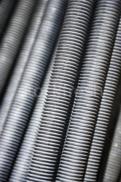 Close up of screws. Stock photo © iofoto