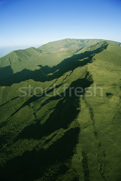 Green Maui mountain. Stock photo © iofoto